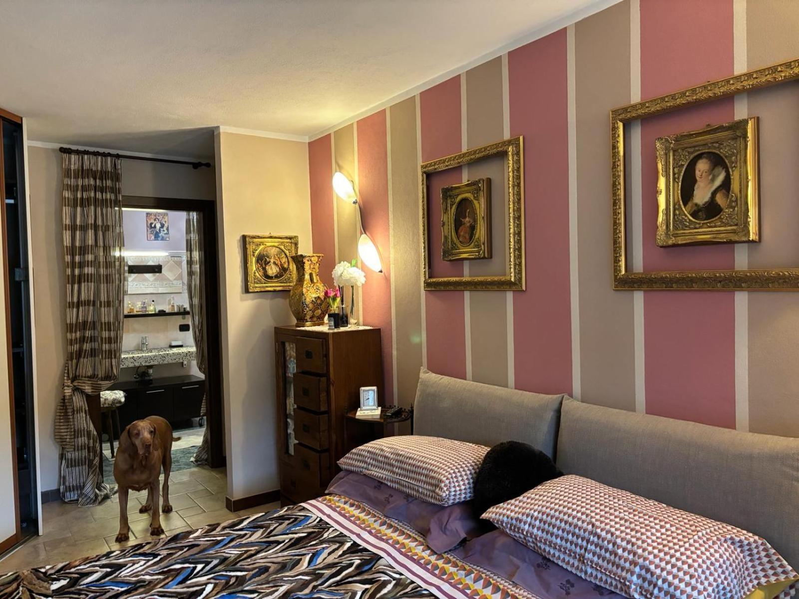 Vila Vill'Ariel Sport & Relax Brovello-Carpugnino Exteriér fotografie